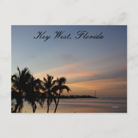 鍵西，フロリダ ポストカード (正面)