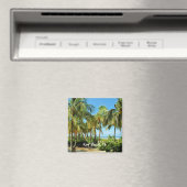 鍵西,フロリダ マグネット (インサイチュ (食洗機))