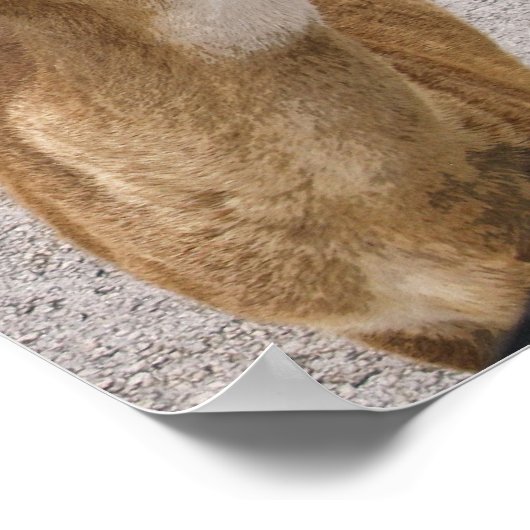 鍵話鹿 ポスター (角)