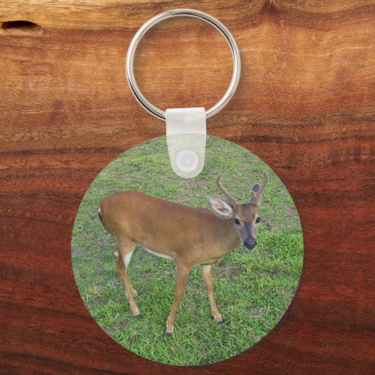 鍵鹿 キーホルダー (裏面)