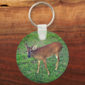 鍵鹿 キーホルダー (正面)