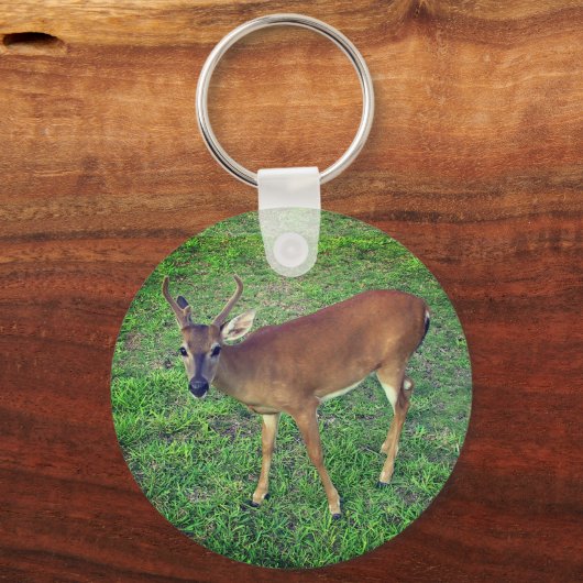 鍵鹿 キーホルダー (正面)