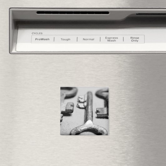 鍵 マグネット (インサイチュ (食洗機))