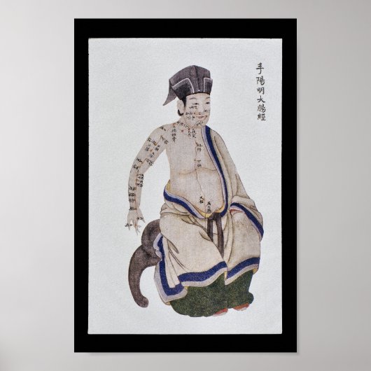 鍼大腸子午線ハンドヤンミン ポスター (正面)