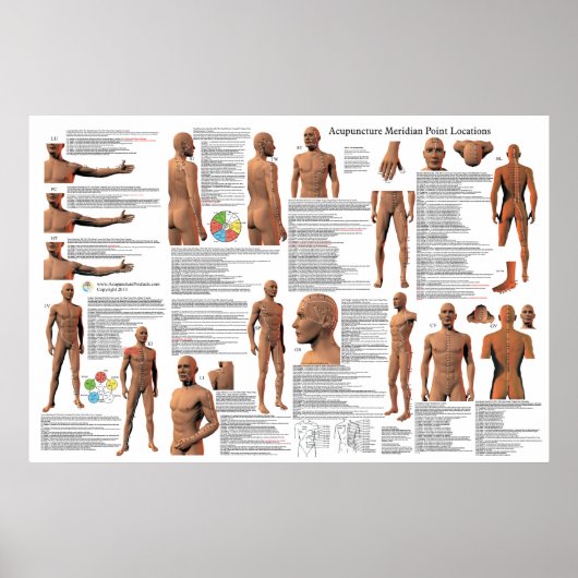 鍼子午線点位置ポスター ポスター (正面)