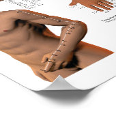 鍼子午線点位置ポスター ポスター (角)