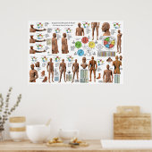 鍼子午線点位置ポスター ポスター (キッチン)