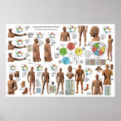 鍼子午線点位置ポスター ポスター (正面)