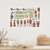 鍼子午線点分類グラフ ポスター (キッチン)