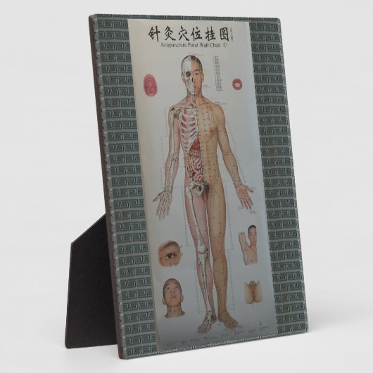 鍼治療ポイントフル体フロントウォールアート フォトプラーク (側面)
