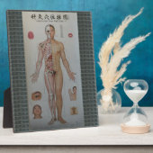 鍼治療ポイントフル体フロントウォールアート フォトプラーク (側面)