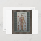 鍼治療ポイントフル体フロントウォールアート ポストカード (正面/裏面)