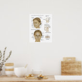 鍼治療リフレクソロジー顔&ヘッドマイクロシステムズ ポスター (キッチン)