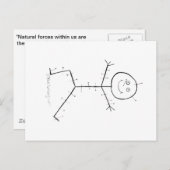 鍼療法の粘着性 ポストカード (正面/裏面)