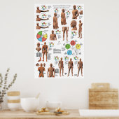 鍼経線ポイントと経路ポスター ポスター (キッチン)