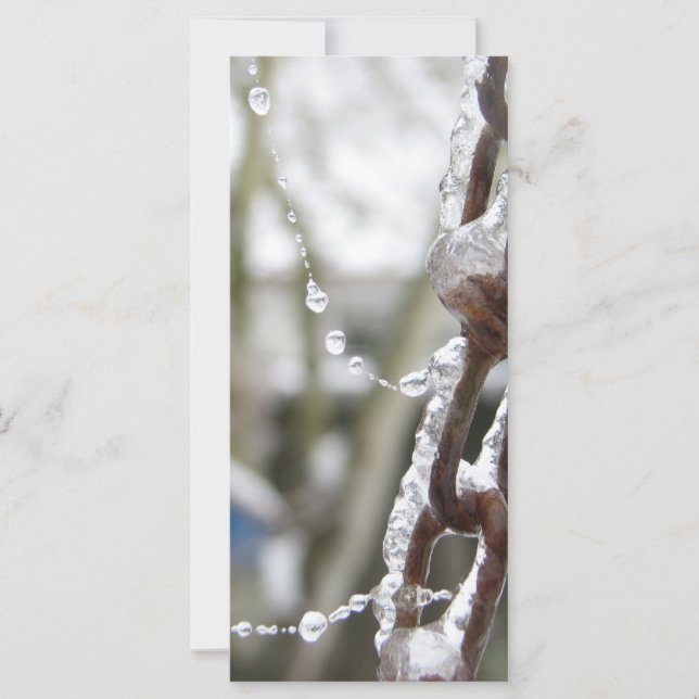 鎖および真珠 (正面)