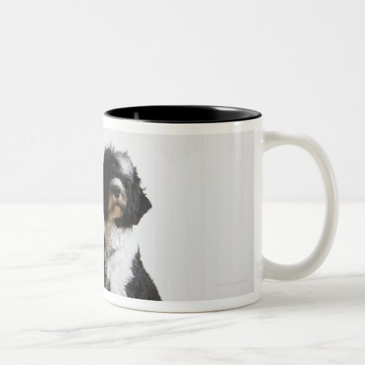 鎖の犬 ツートーンマグカップ (右)