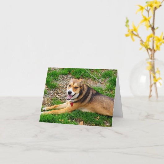 鎖の間違った端 カード (黄色い花)