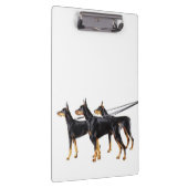 鎖の3匹のドーベルマン犬 クリップボード (右)