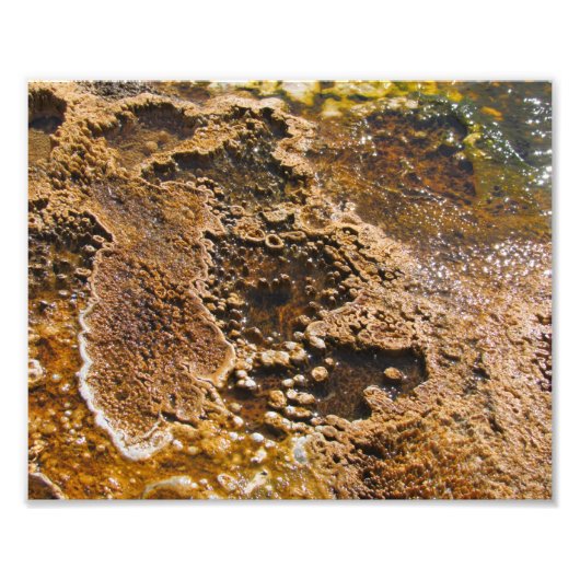 鎮痛プール フォトプリント            (正面)