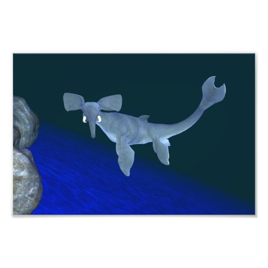 鎮静剤 フォトプリント            (正面)