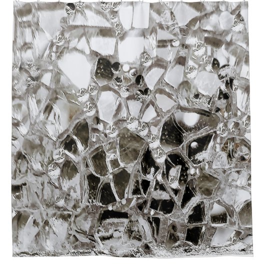 鏡とガラス シャワーカーテン (正面)