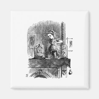 鏡の国のアリス マグネット