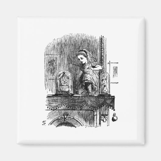 鏡の国のアリス マグネット (正面)