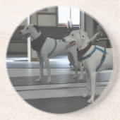 鏡の子犬 コースター (正面)