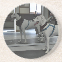 鏡の子犬 コースター