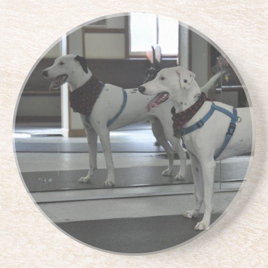 鏡の子犬 コースター (正面)