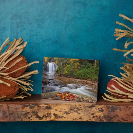 鏡の秋ピスガナショナルフォレスト フォトプラーク (側面)