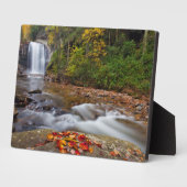 鏡の秋ピスガナショナルフォレスト フォトプラーク (側面)