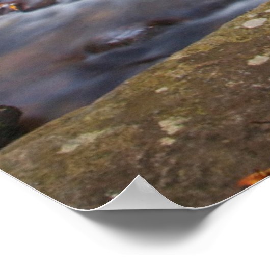 鏡の秋ピスガナショナルフォレスト ポスター (角)