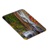 鏡の秋ピスガナショナルフォレスト マグネット (右側)