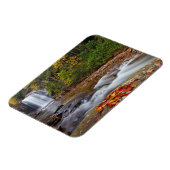 鏡の秋ピスガナショナルフォレスト マグネット (左側)