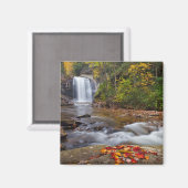 鏡の秋ピスガナショナルフォレスト マグネット (正面/裏面)