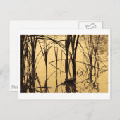 鏡は嘘つきだ ポストカード (正面/裏面)