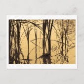 鏡は嘘つきだ ポストカード (正面)