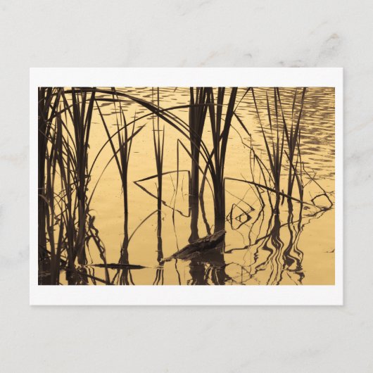 鏡は嘘つきだ ポストカード (正面)