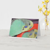 鏡を見ているインコ カード (黄色い花)