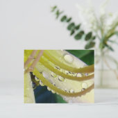 鏡を通して ポストカード (スタンド正面)