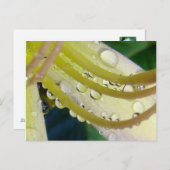 鏡を通して ポストカード (正面/裏面)