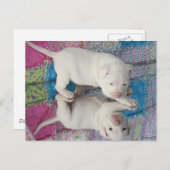 鏡イメージ ポストカード (正面/裏面)