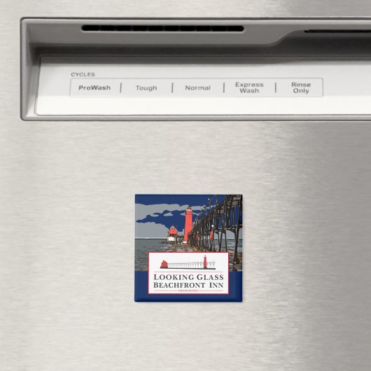 鏡ガラス磁石 マグネット (インサイチュ (食洗機))