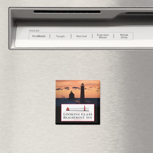 鏡ガラス磁石 マグネット (インサイチュ (食洗機))