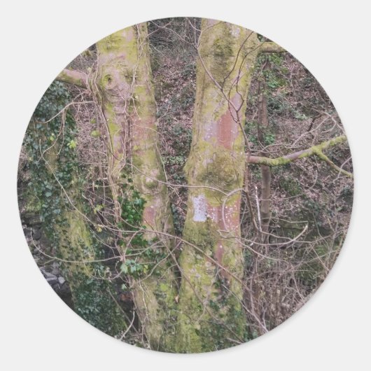 鏡ツリーのシール ラウンドシール (正面)