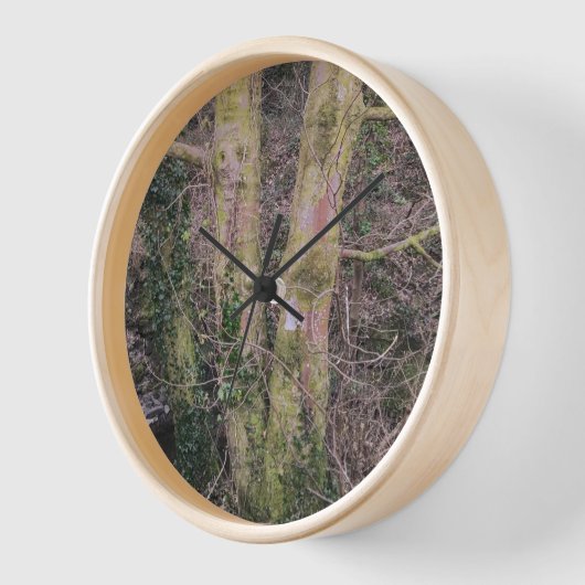 鏡ツリーズウォールクロック 壁時計 (傾斜)