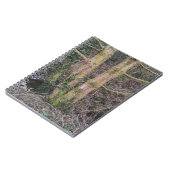 鏡ツリーノート ノートブック (左側)