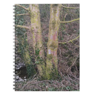 鏡ツリーノート ノートブック